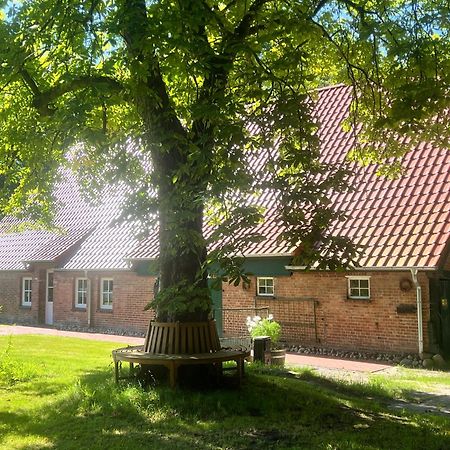 Ferienwohnung Mit Garten In Meyenburg - Keine Monteure Schwanewede Extérieur photo