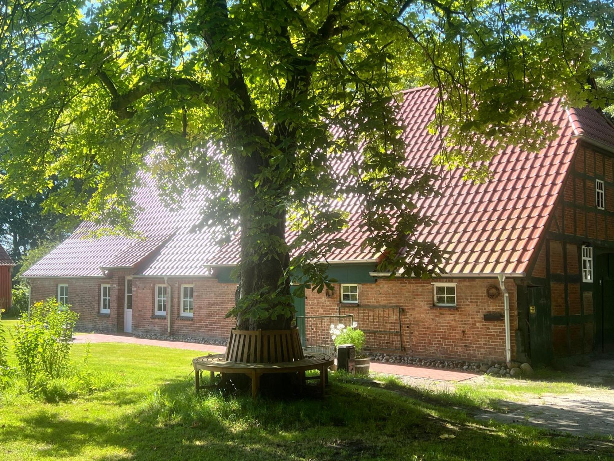 Ferienwohnung Mit Garten In Meyenburg - Keine Monteure Schwanewede Extérieur photo